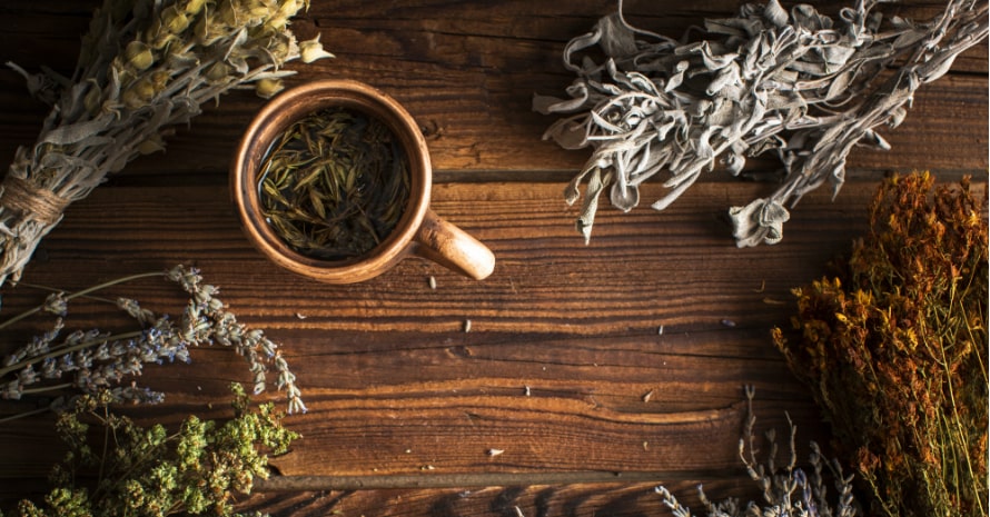 cup-herbal-tea-with-plants