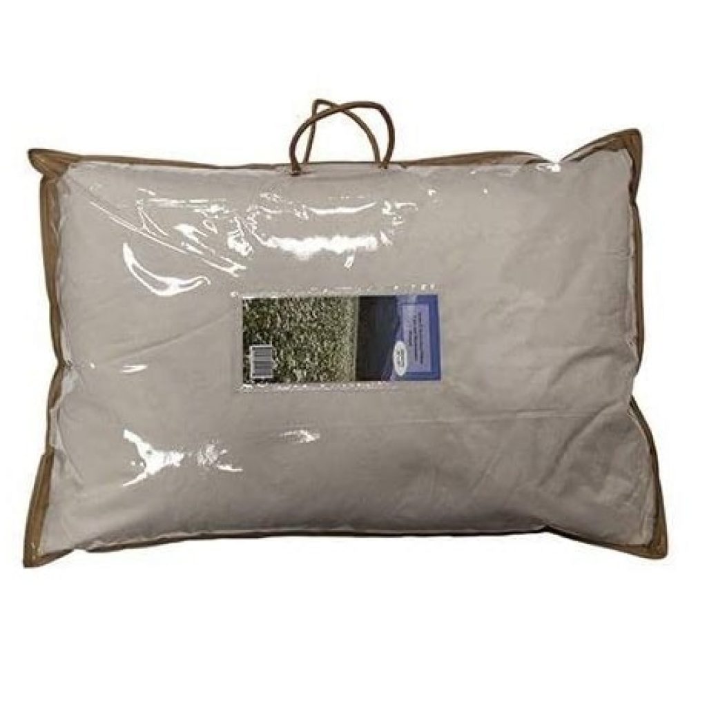 Beans72 Organic Buckwheat Pillow