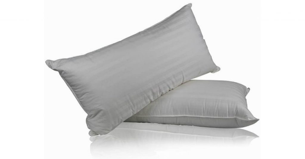 Set of 2 Superior 100 Down Pillows