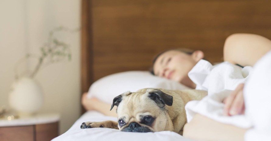 sleeping-in-a-bedroom