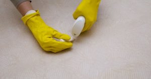How to Get Dog Pee Out of Mattress