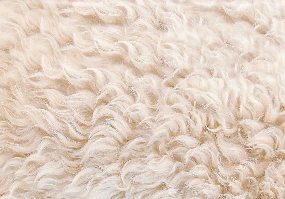Woolen mattress cover