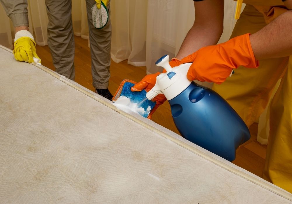 Dog urine mattress pad cleaning