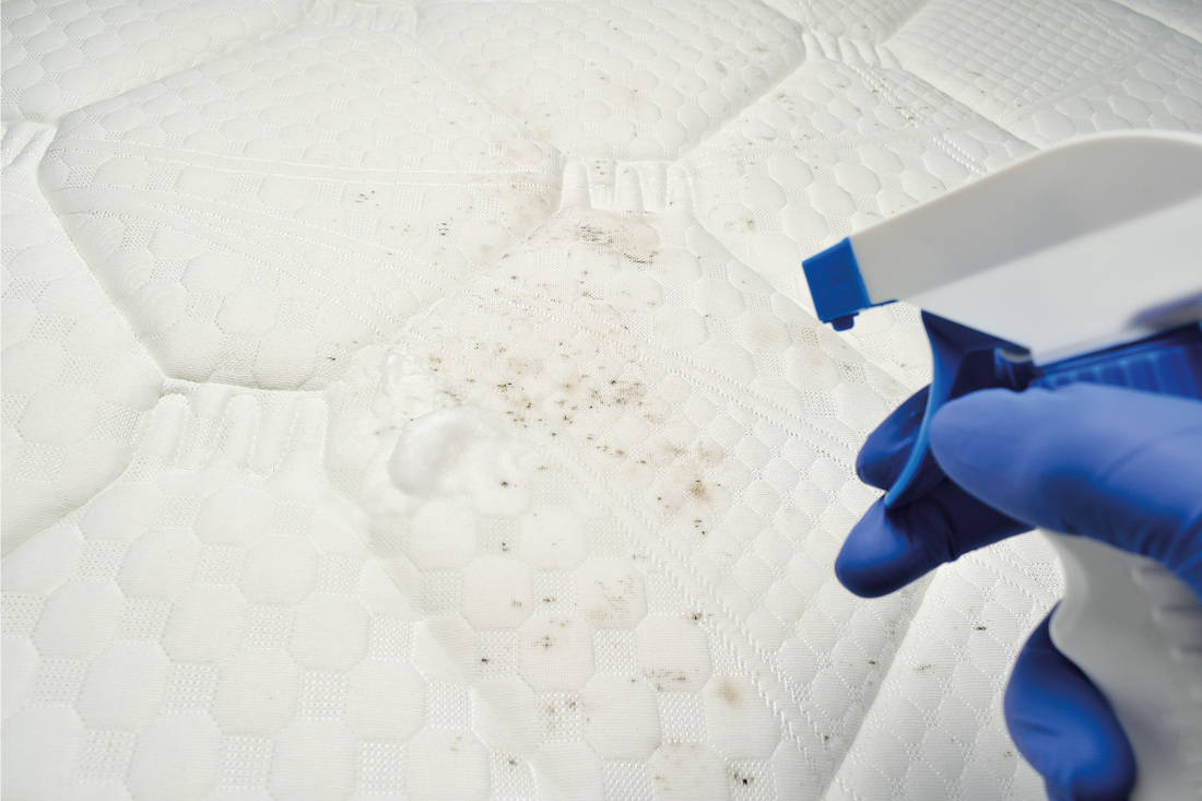 Benefits Of Using Bleach To Remove Stains From Mattresses