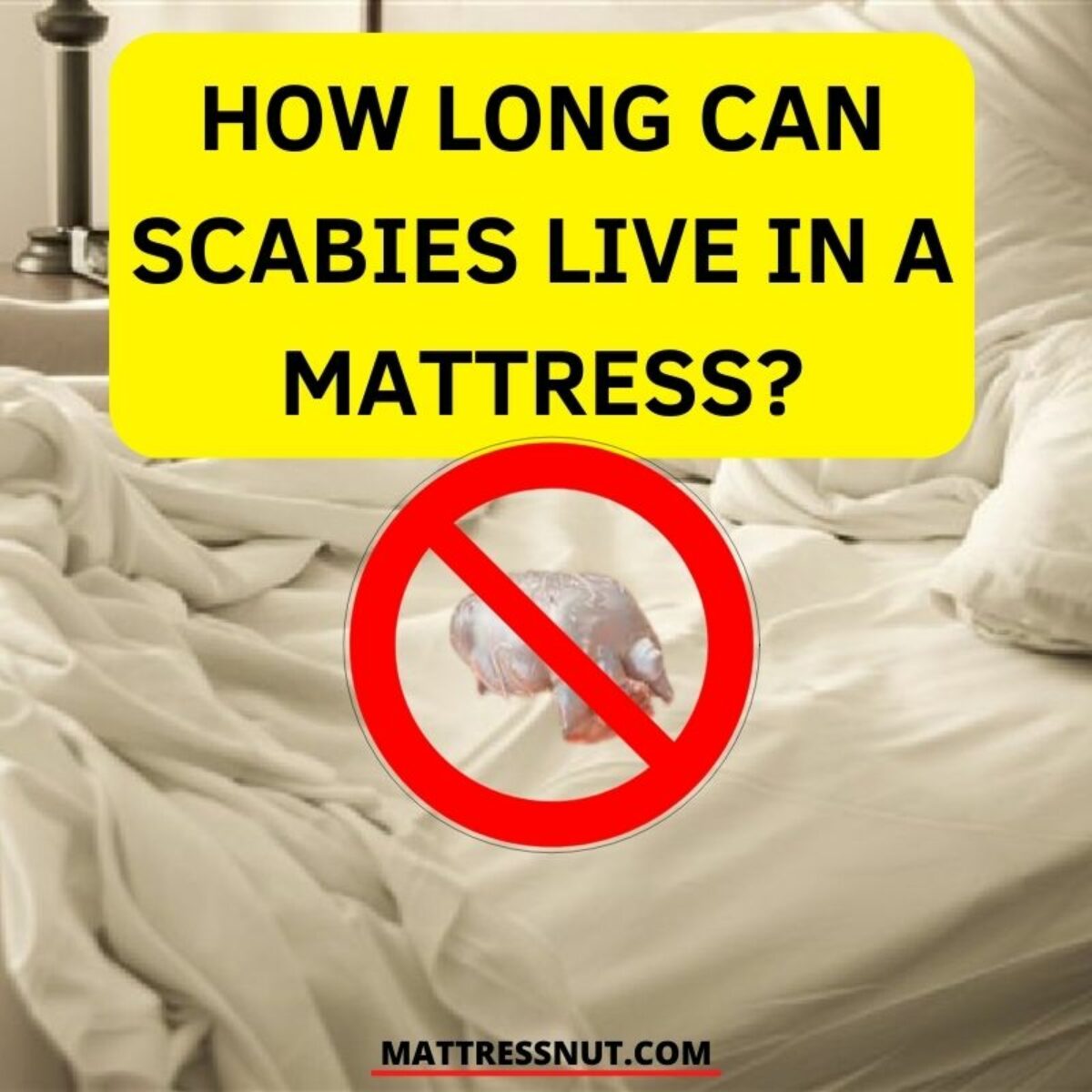 How Long Can Scabies Survive In A Mattress?