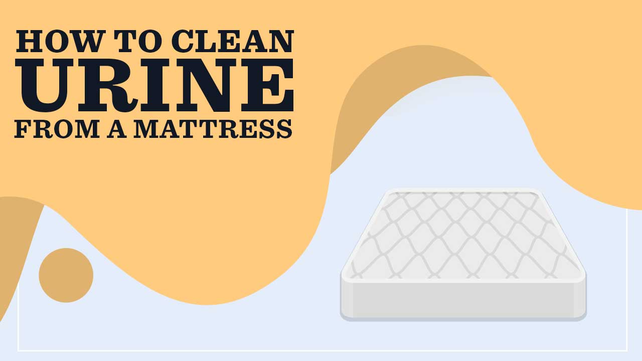 How To Clean Dog Pee From Memory Foam Mattress