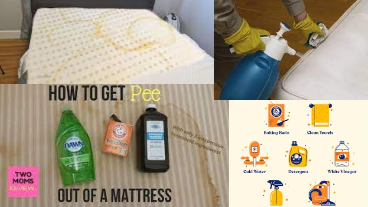 How To Clean Urine From Memory Foam Mattress