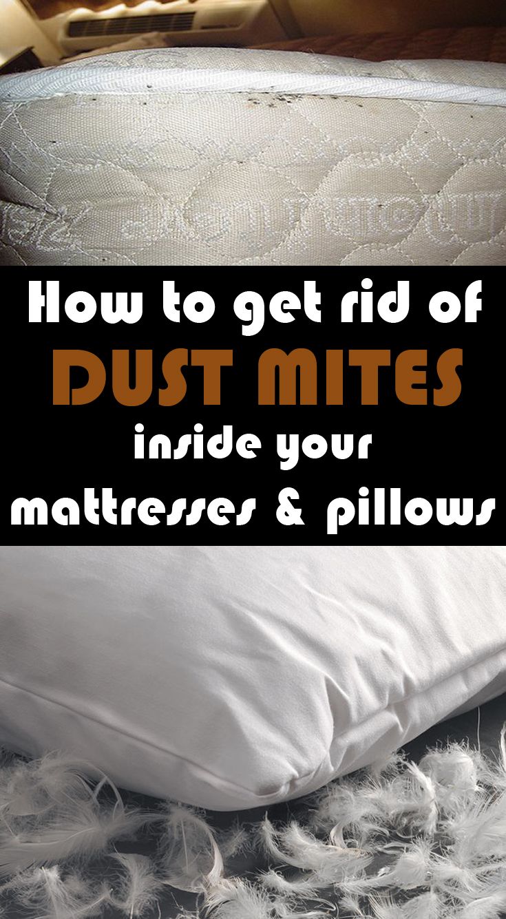 How To Get Rid Of Dust Mites On Your Mattress