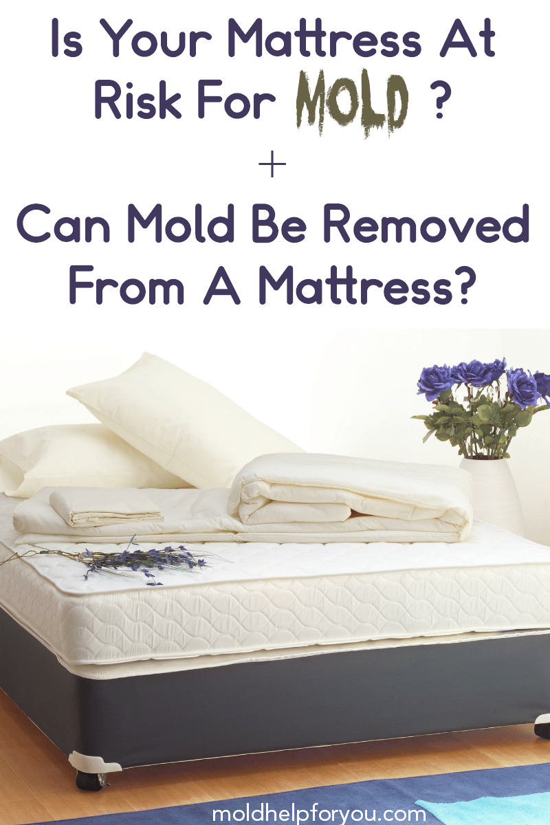 How To Get Rid Of Mold On A Mattress