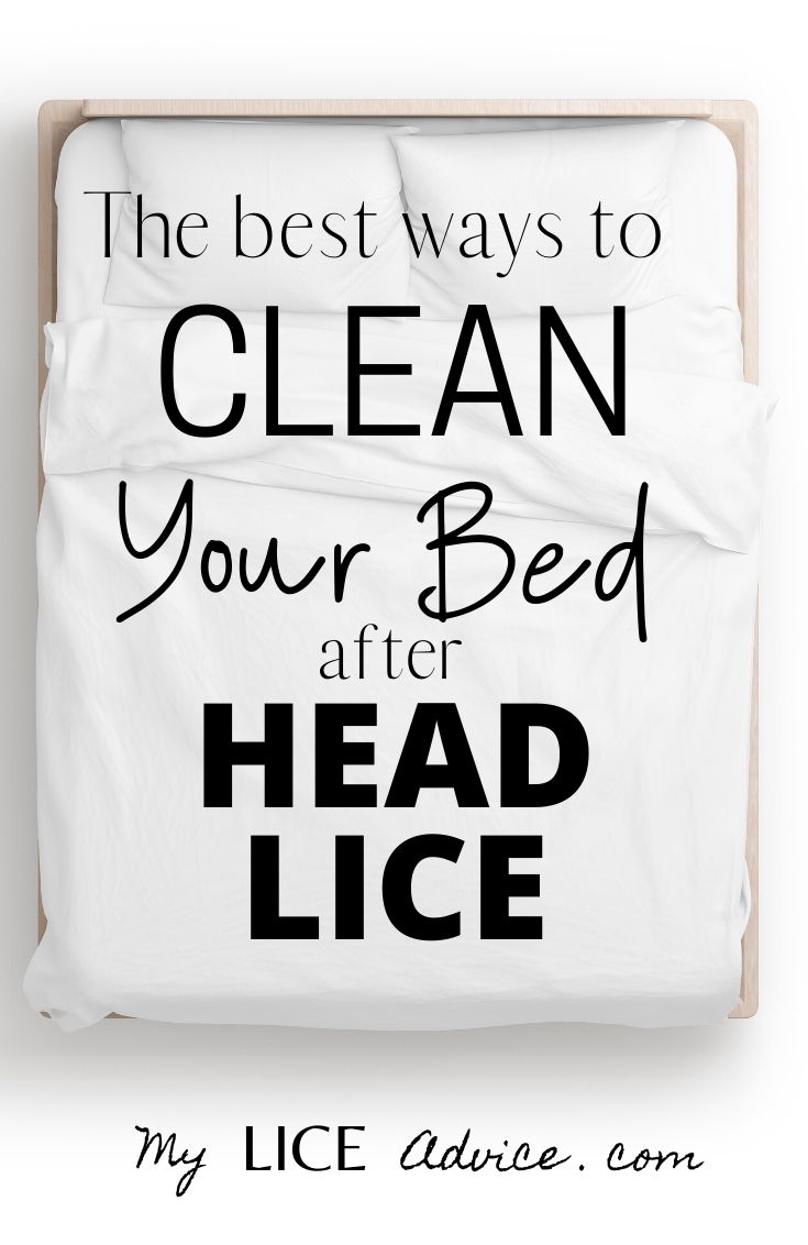 How To Prevent Lice On Your Mattress