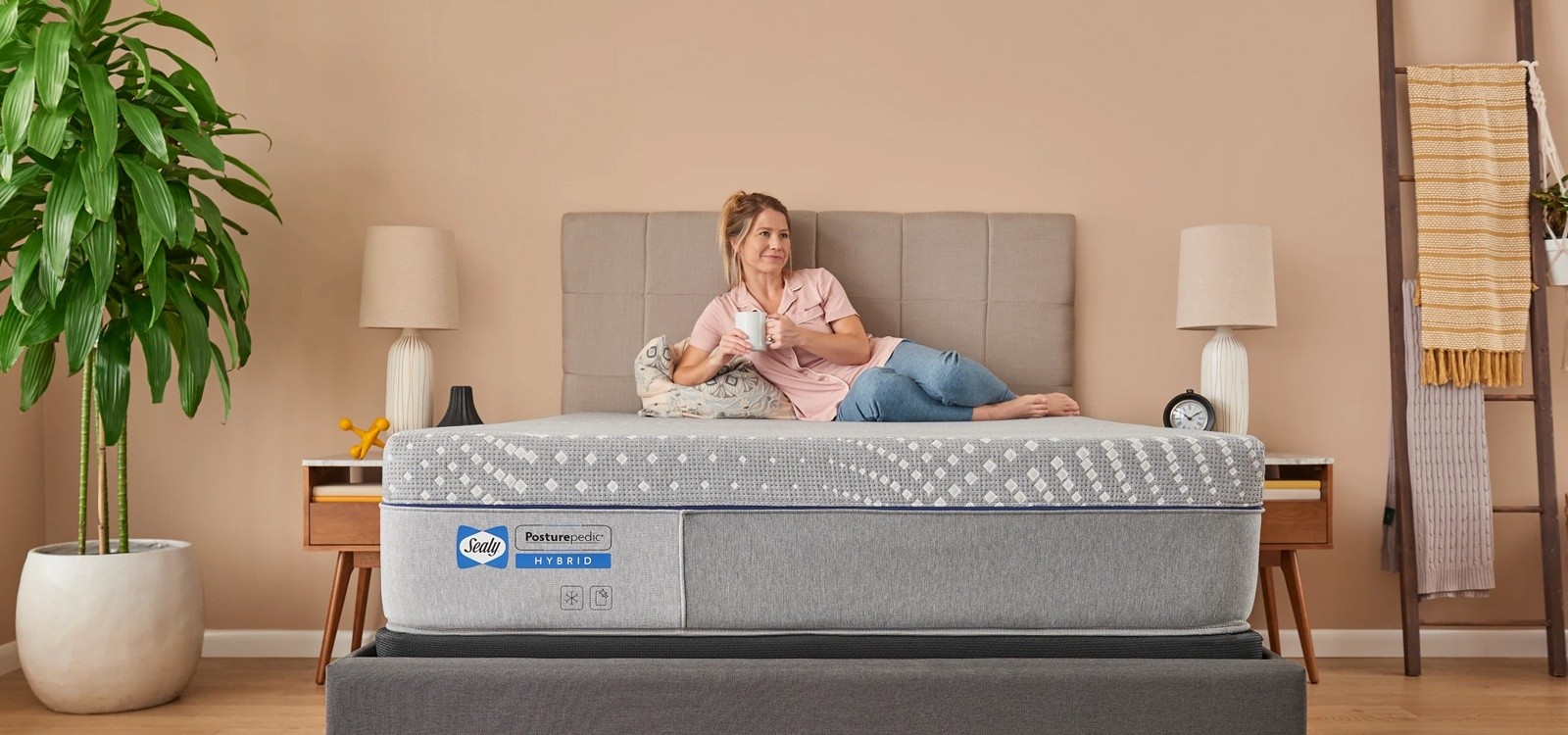 Overview Of Sealy Mattress