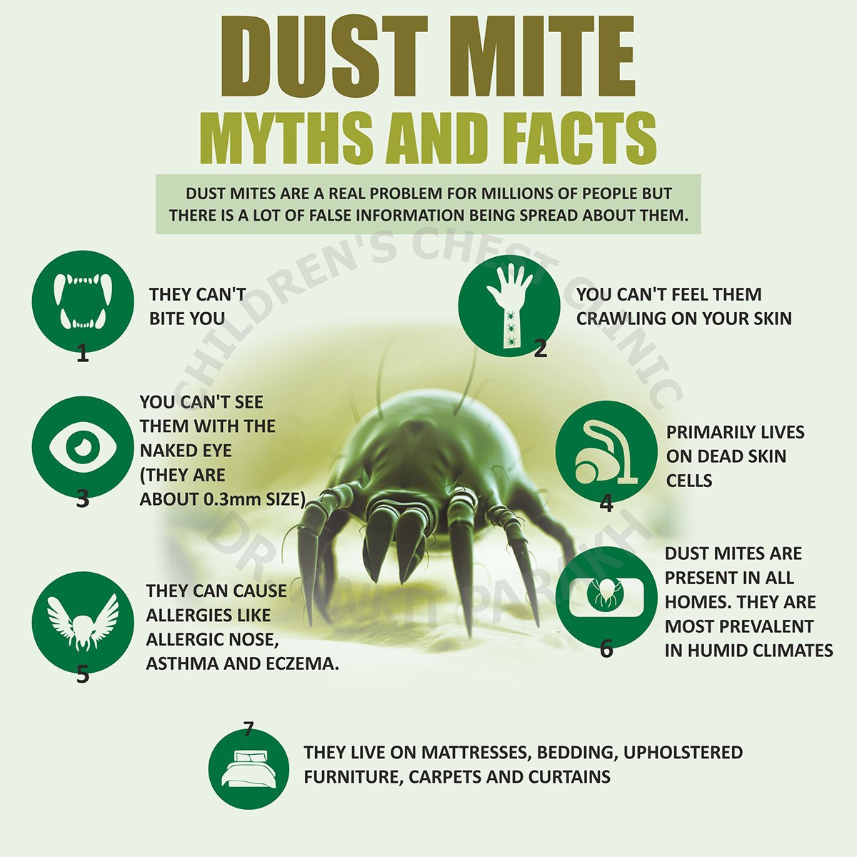 Signs Of Dust Mites On Your Mattress