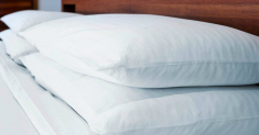 Best Hypoallergenic Pillows to Ensure Your Sleep and Tranquility at Night