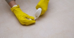 How to Get Dog Pee Out of Mattress Topper: Easy Guide With Tips