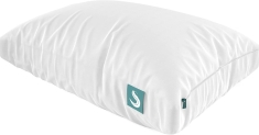 Sleepgram Pillow Review